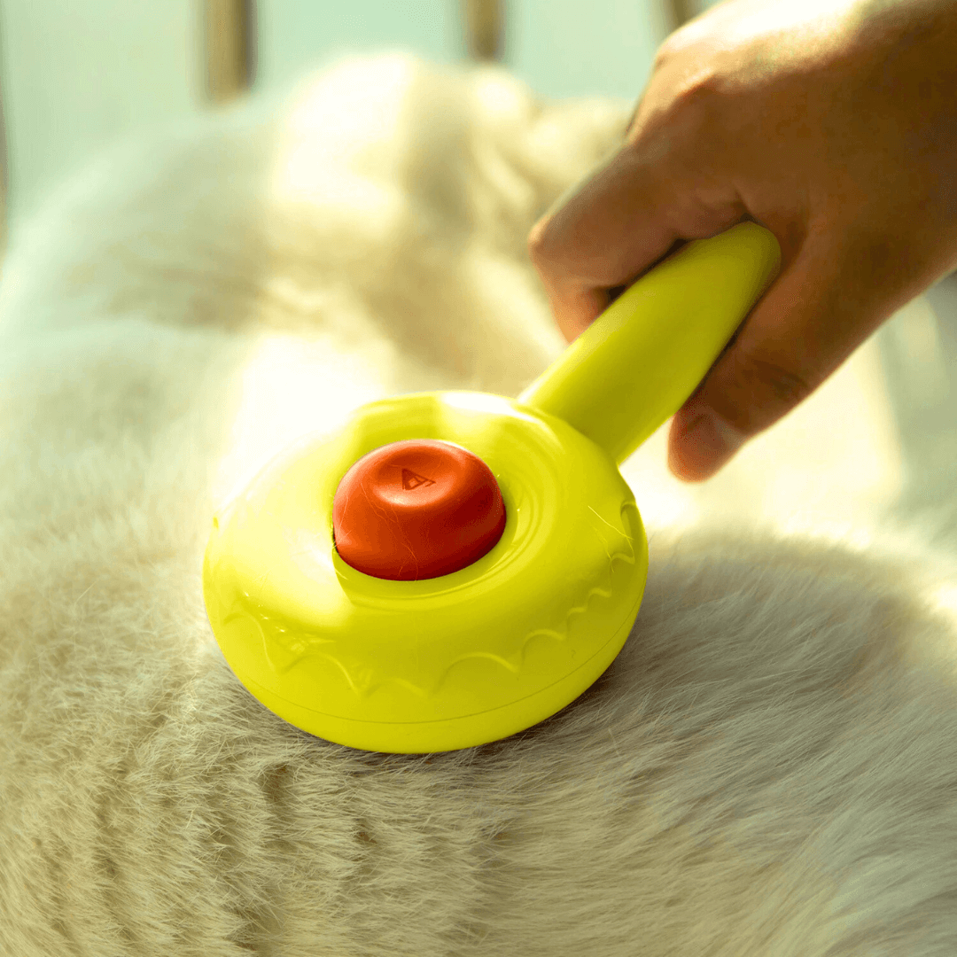 FurDonut™ - Free Today