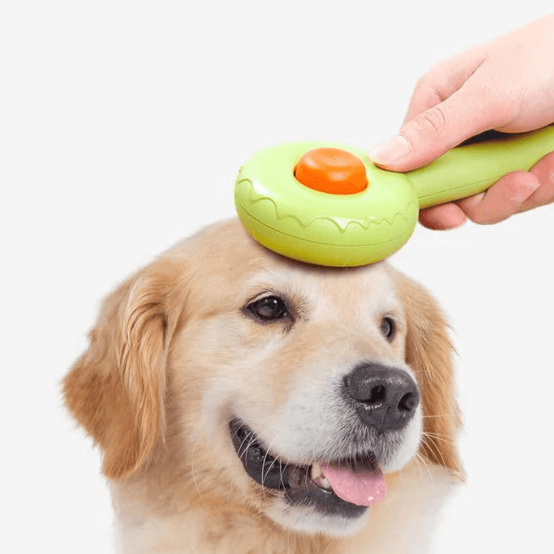 FurDonut™ - Free Today