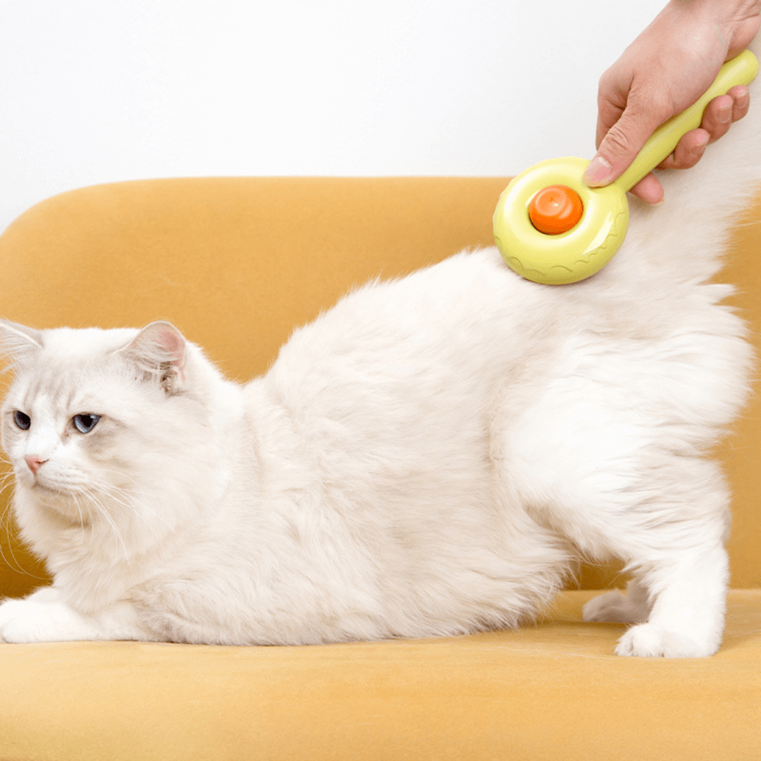 FurDonut™ - Free Today
